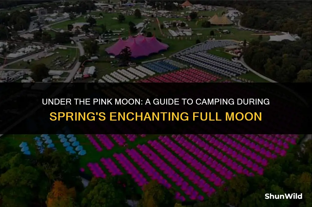 what is pink moon camping