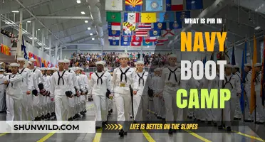 Understanding PIR: Navy Boot Camp Graduation Explained for New Recruits