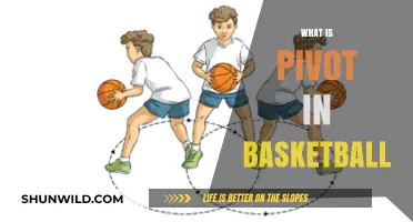 Pivoting Fundamentals: Mastering the Basketball Pivot