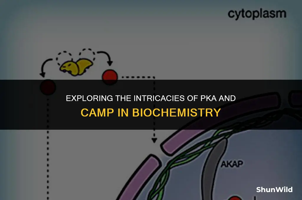 what is pka with camp