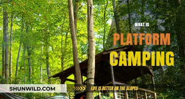 Exploring the Great Outdoors: A Beginner's Guide to Platform Camping