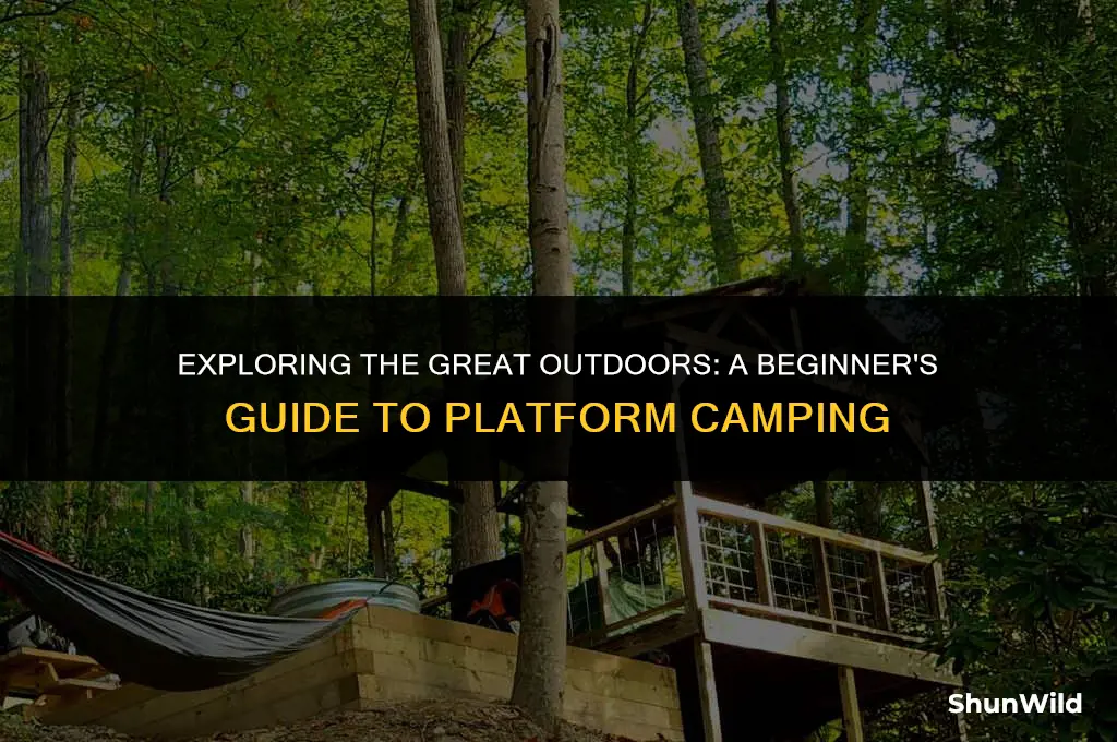 what is platform camping