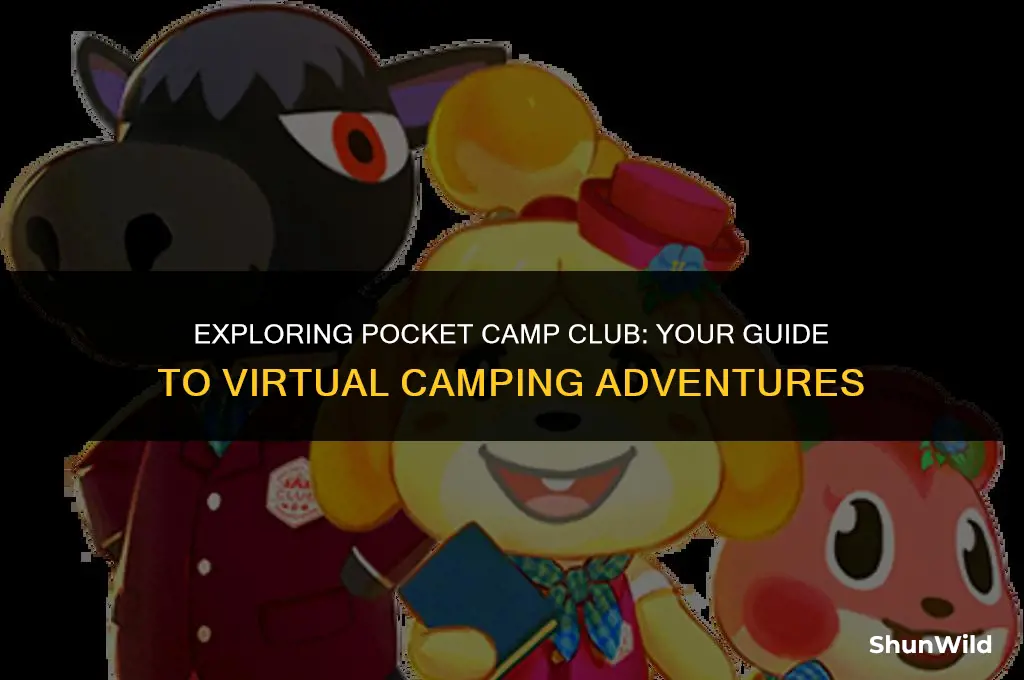 what is pocket camp club