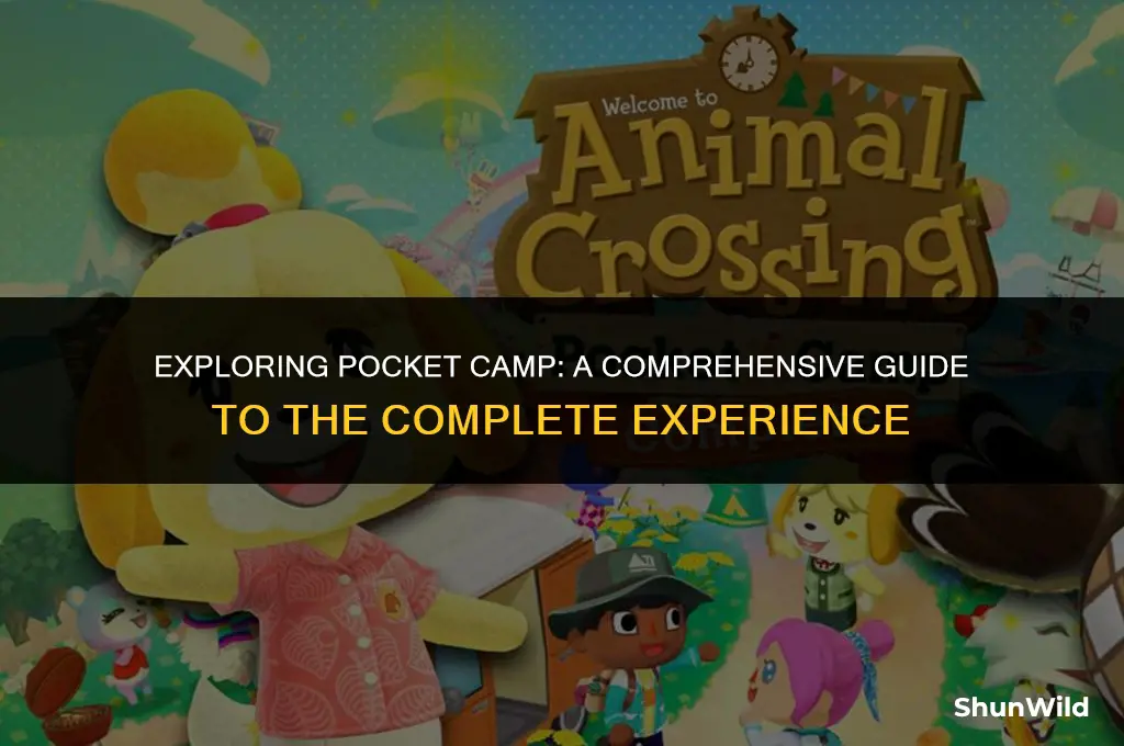 what is pocket camp complete