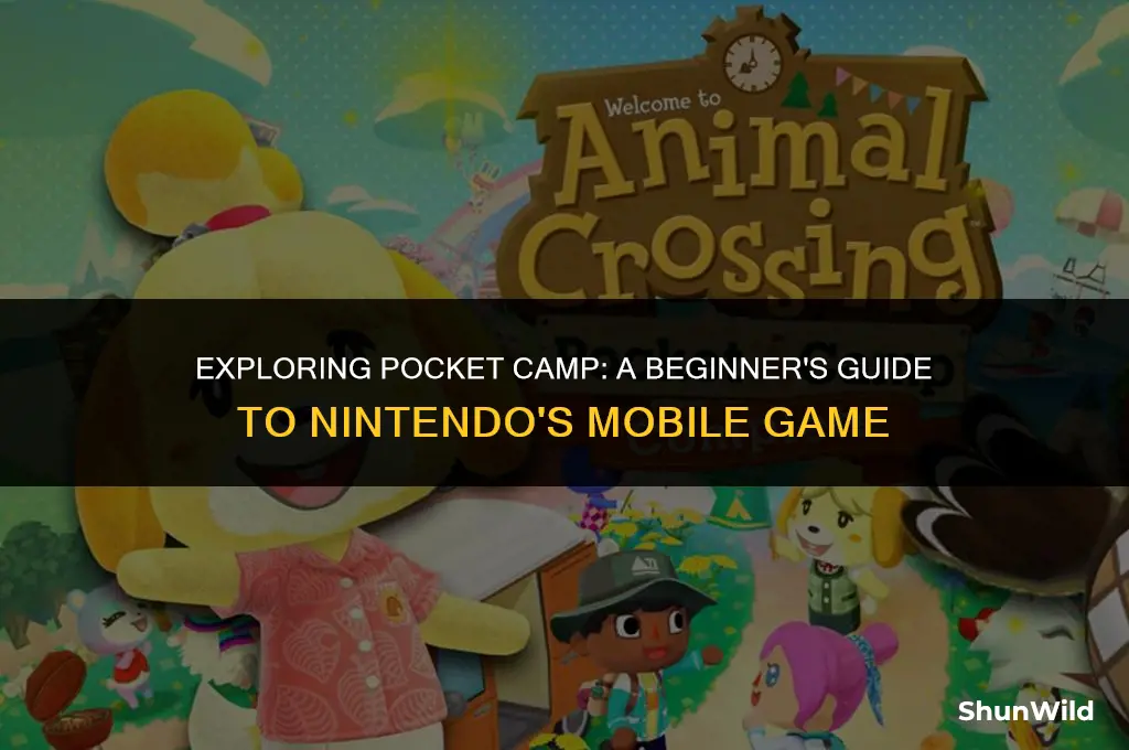 what is pocket camp