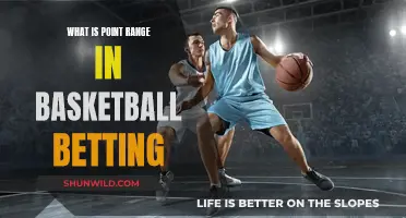 Understanding Point Range in Basketball Betting