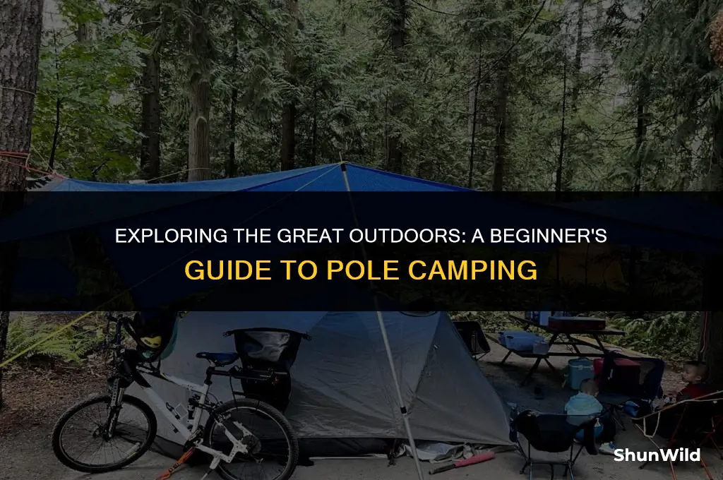 what is pole camping
