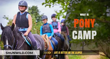 Discover the Magic: What is Pony Camp and Why Kids Love It