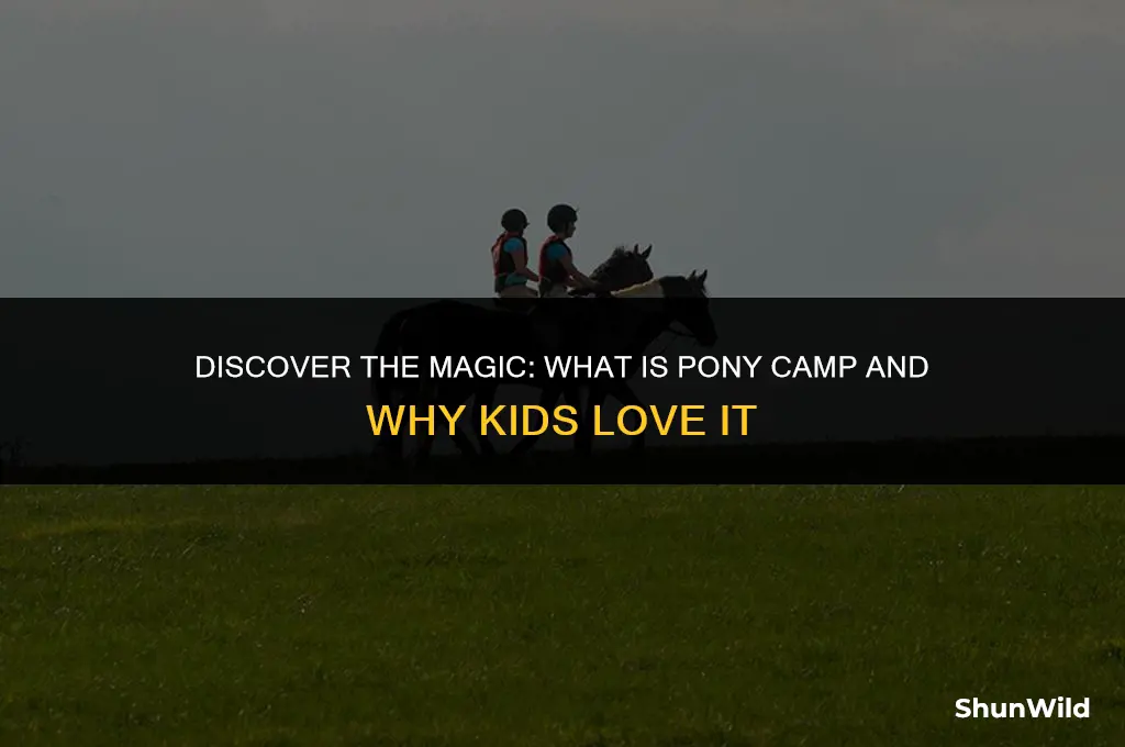 what is pony camp
