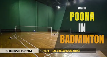 Poona: Badminton's Original Name