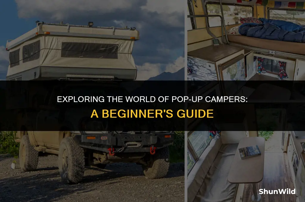 what is pop up camper