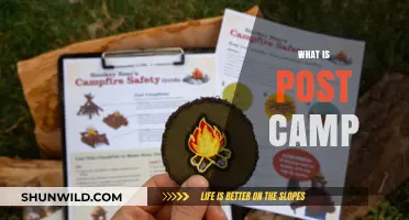 Exploring the Concept of Post-Camp: A Comprehensive Guide