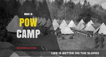Understanding POW Camps: History, Purpose, and Life Inside