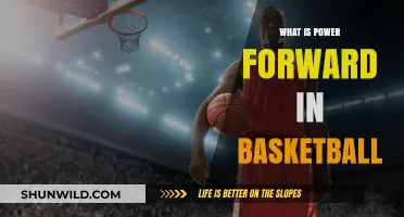 Power Forward: Basketball's Ultimate Utility Player