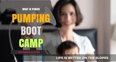 Power Pumping Boot Camp: Maximize Milk Supply with Effective Techniques