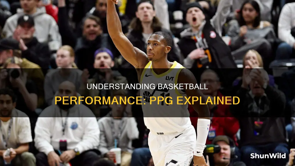 what is ppg in basketball