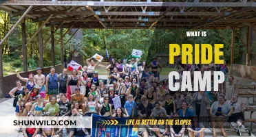 Exploring Identity and Community at Pride Camp: A Journey of Self-Discovery