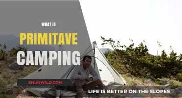 Exploring the Basics: What is Primitive Camping?