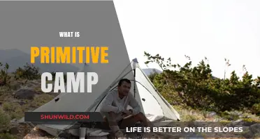 Exploring the Basics: What is Primitive Camping?