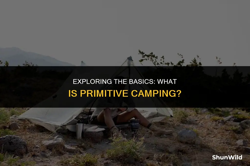 what is primitive camp