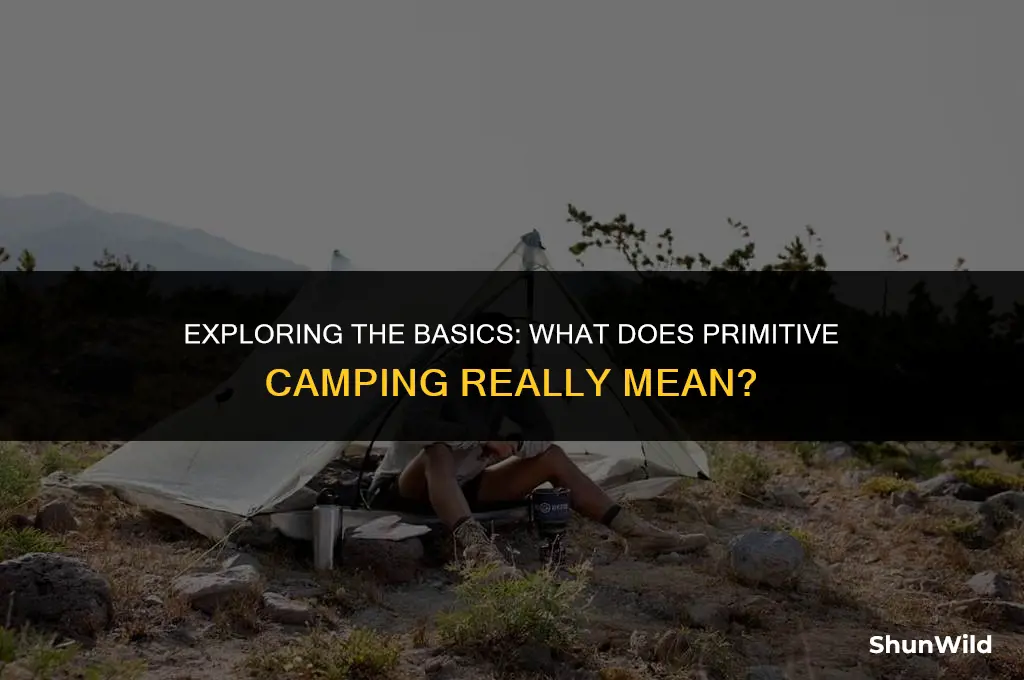 what is primitive camping mean