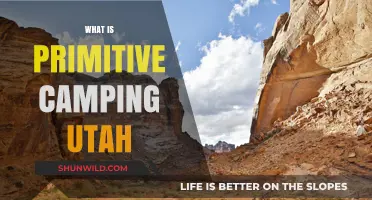 Exploring the Wilderness: A Guide to Primitive Camping in Utah