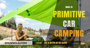 Exploring the Basics: What is Primitive Car Camping?