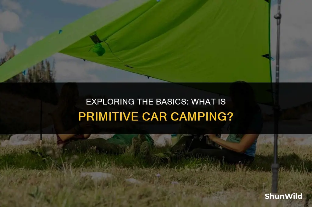 what is primitive car camping