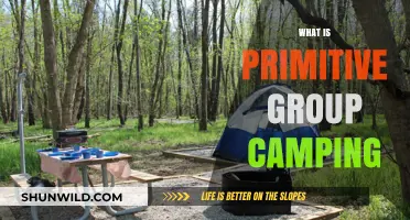 Exploring the Basics: What is Primitive Group Camping?