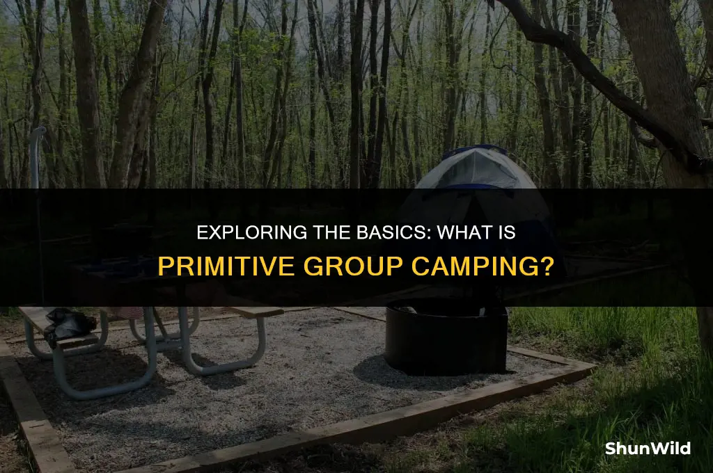 what is primitive group camping