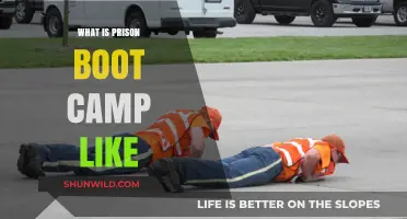 Inside Prison Boot Camp: Rigorous Discipline, Transformation, and Reality Revealed