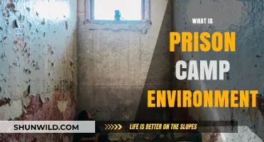 Unveiling the Harsh Realities of Prison Camp Life