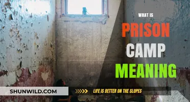 Unveiling the Harsh Reality: Inside the Walls of a Prison Camp