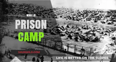 Understanding Prison Camps: History, Purpose, and Modern-Day Realities