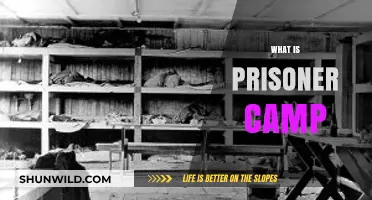 Unveiling the Harsh Realities of Prisoner Camps: A Deep Dive