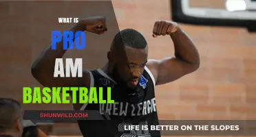 The Evolution of Pro-Am Basketball