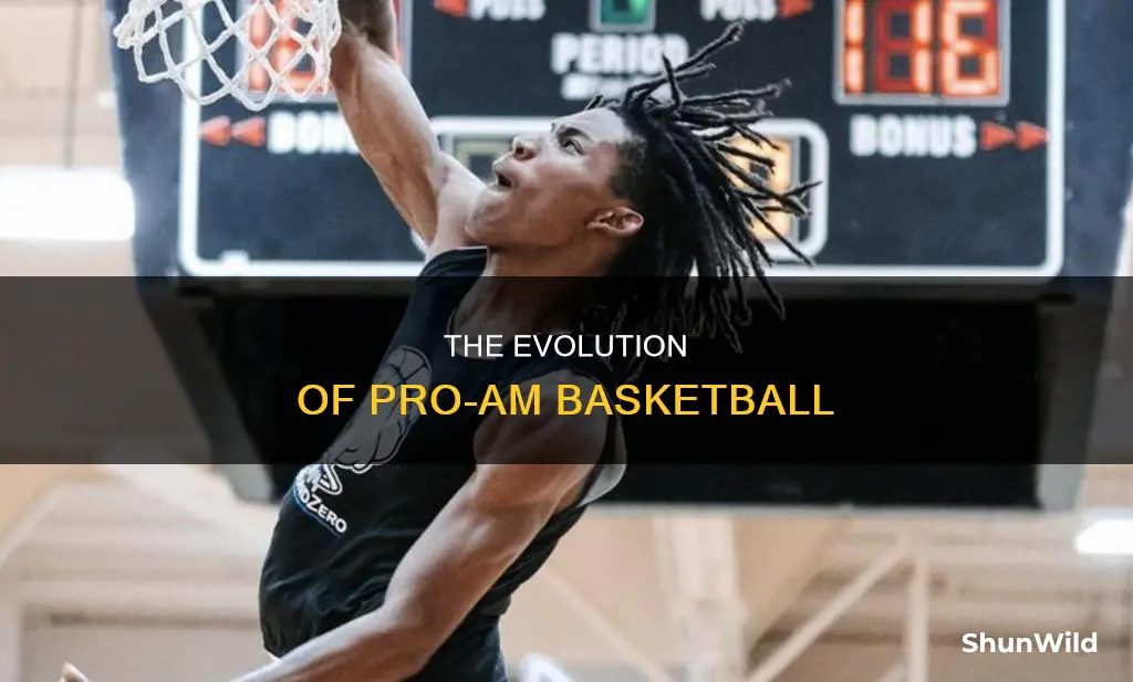 what is pro am basketball
