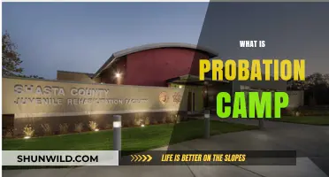 Exploring Probation Camp: A Comprehensive Guide to Rehabilitation Programs