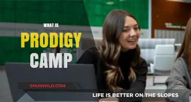 Unleashing Potential: A Deep Dive into Prodigy Camp's Innovative Approach