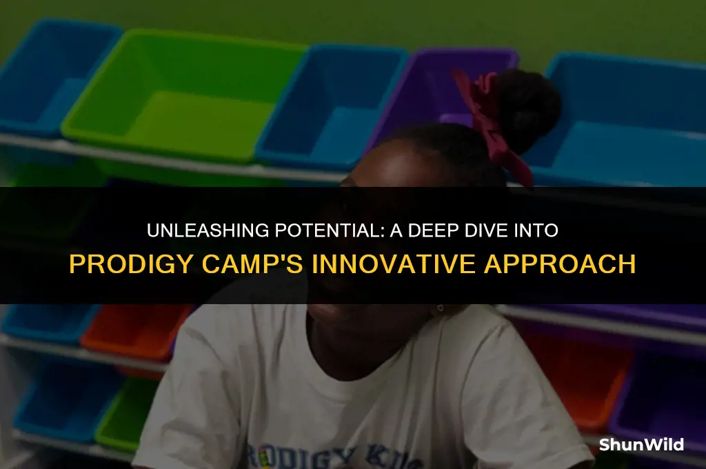 what is prodigy camp