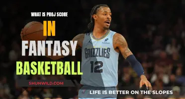 Understanding Proj Score: A Guide to Fantasy Basketball Success