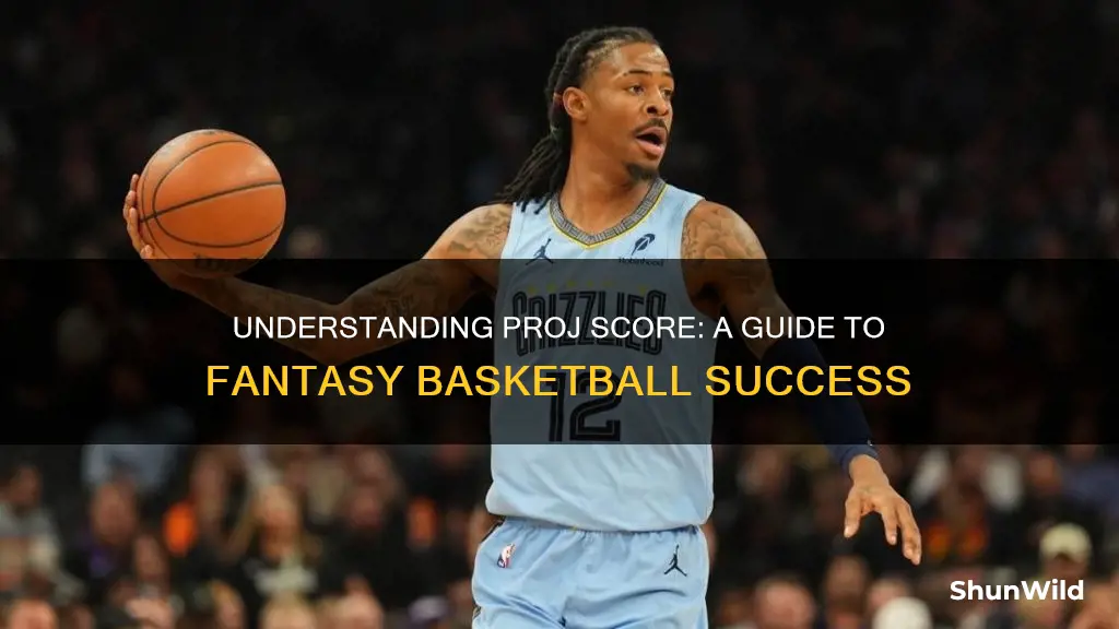 what is proj score in fantasy basketball