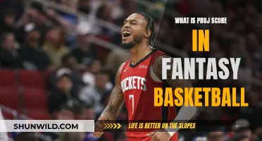 Fantasy Basketball Projections: Understanding the PROJ Score