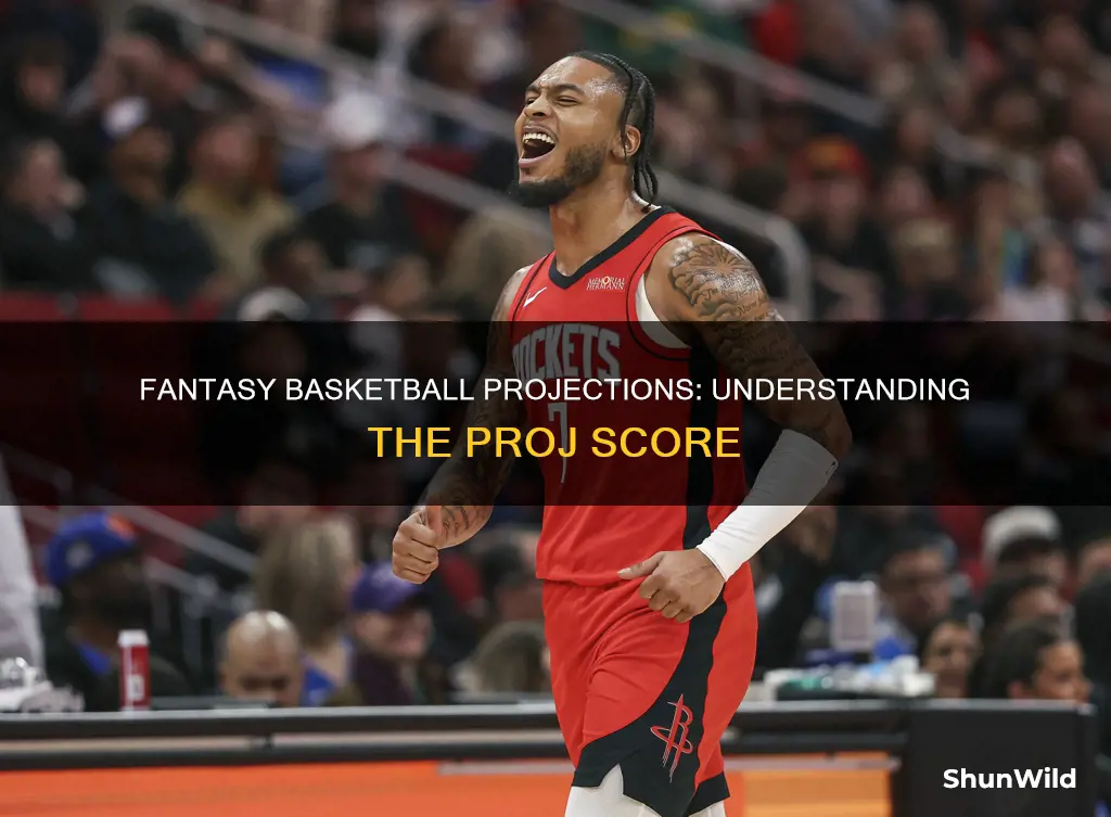 what is proj score in fantasy basketball