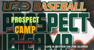 Exploring Opportunities: What is Prospect Camp?