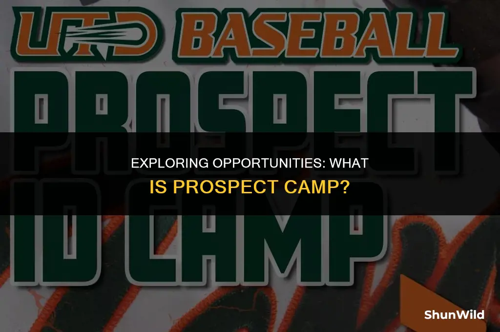 what is prospect camp