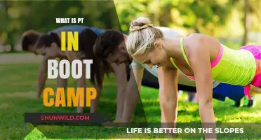 Understanding PT: Physical Training Essentials in Boot Camp Explained