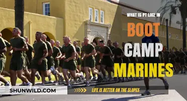 Marine Boot Camp PT: Rigorous Training, Discipline, and Teamwork Explained