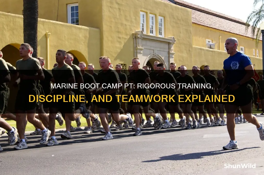 what is pt like in boot camp marines
