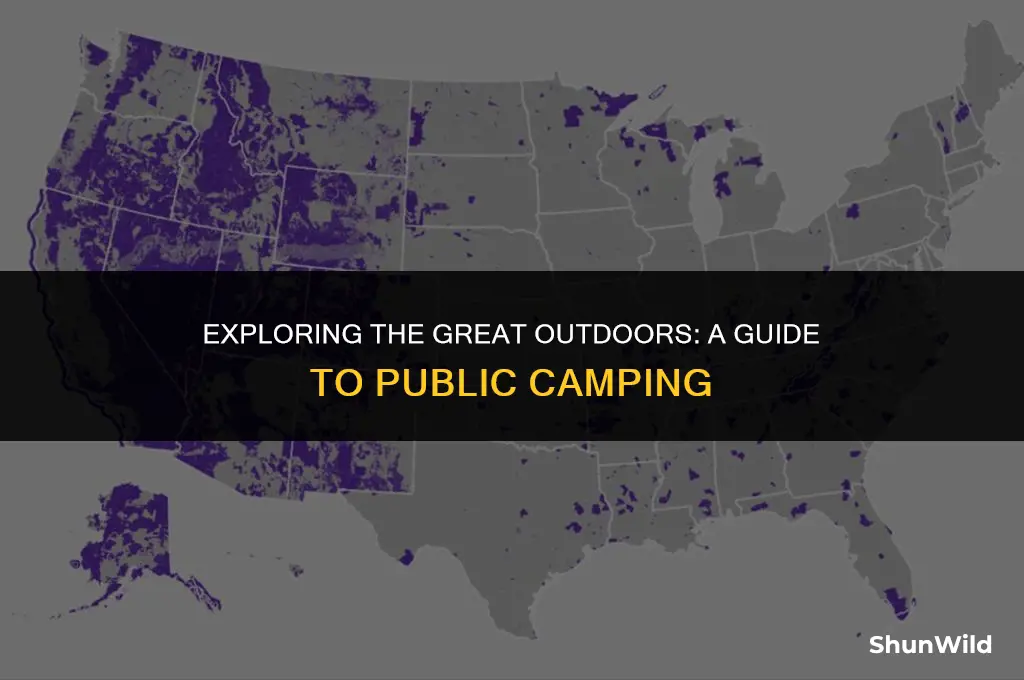 what is public camping